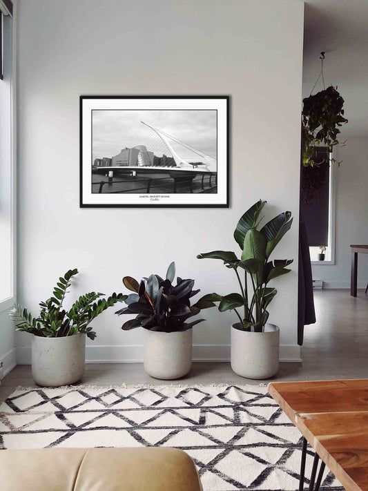 photo en noir et blanc du harp bridge de Dublin