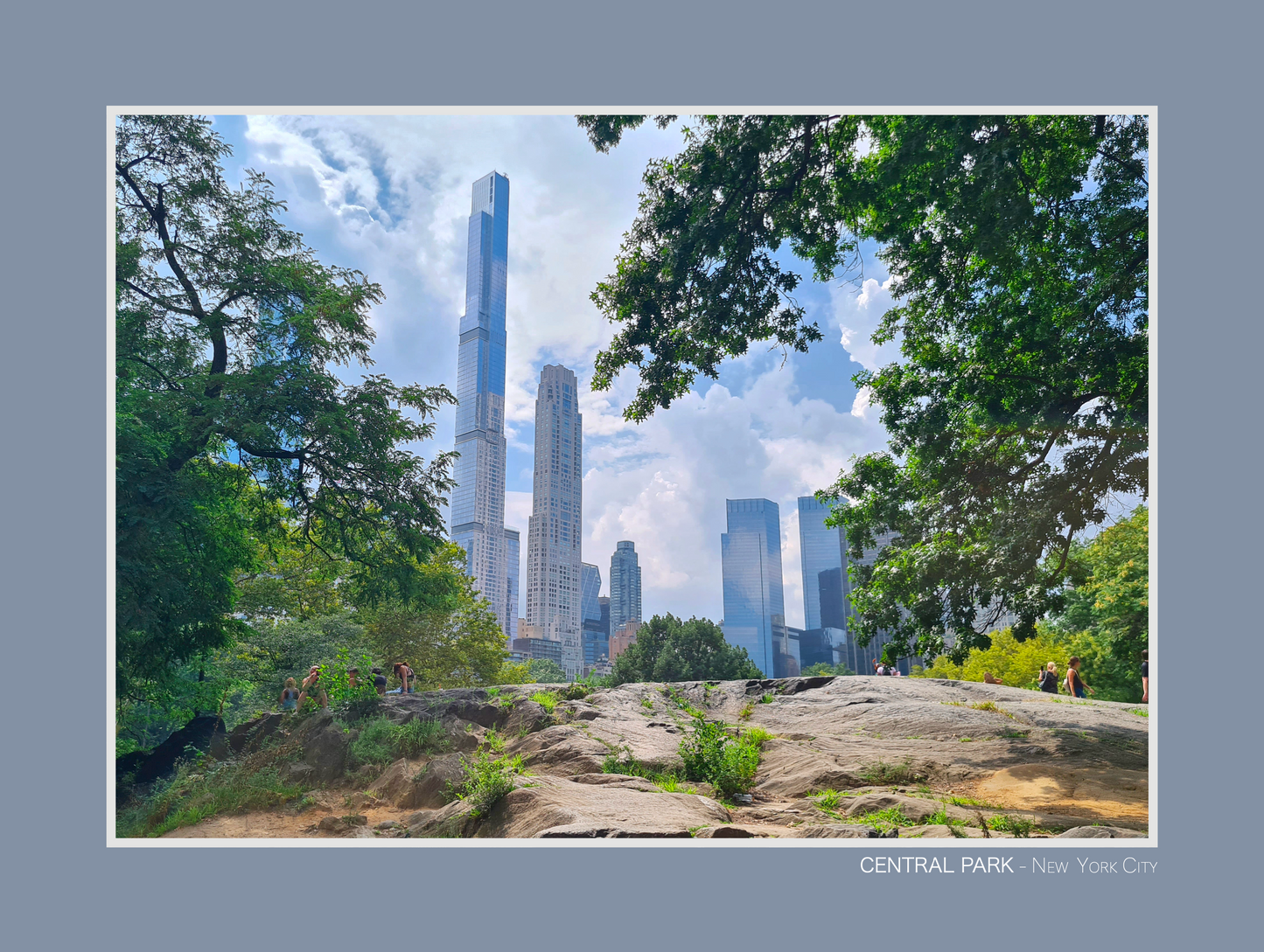 vue sur les building de new york depuis central park