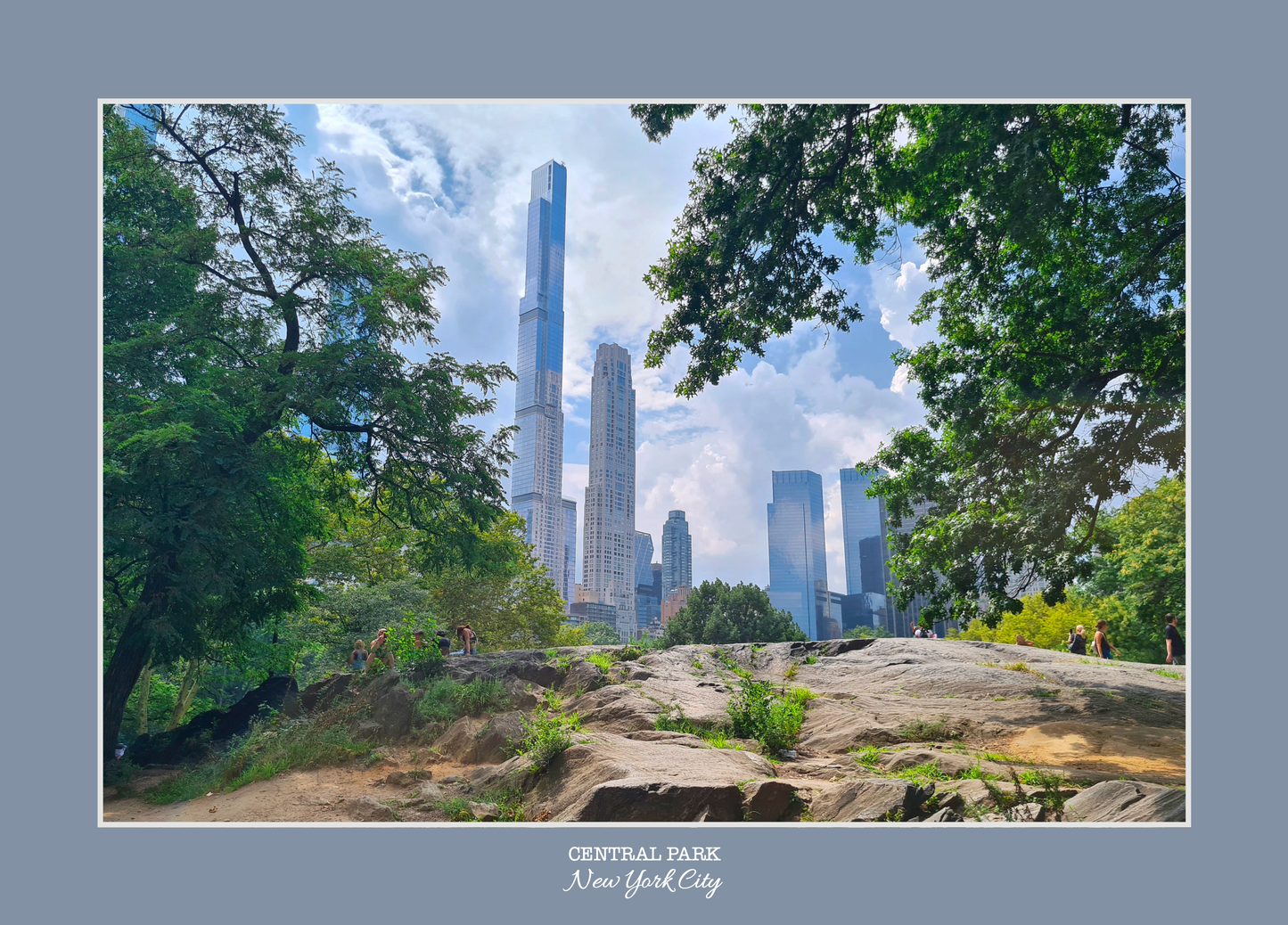 vue sur les building de new york depuis central park