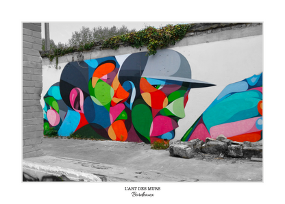photo d'un street art mural dans la ville de bordeaux